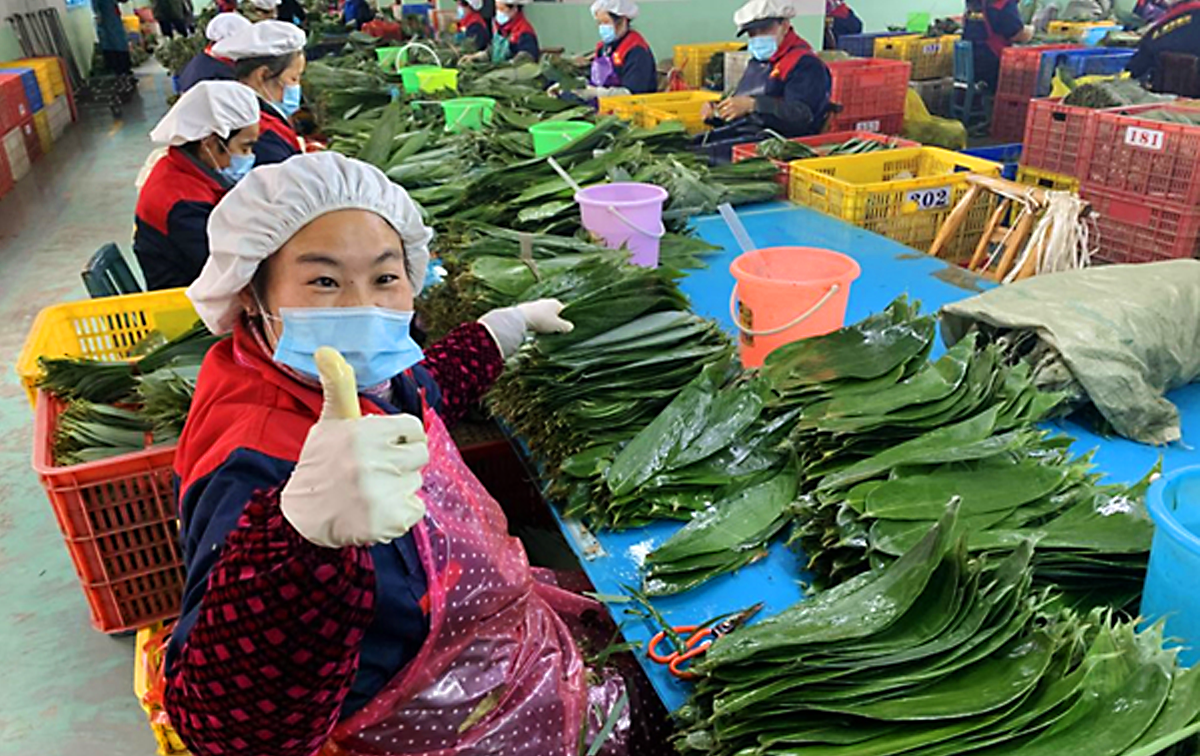 中国农民从地理标志中获益