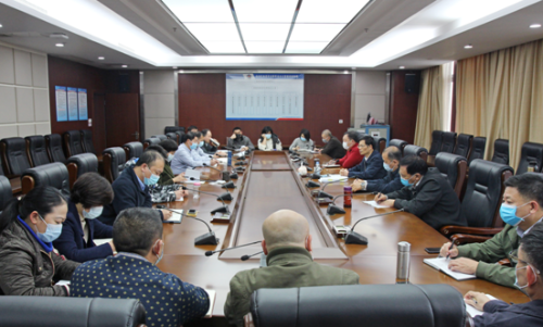 广西壮族自治区市场监管局传达学习全国知识产权局局长会议精神