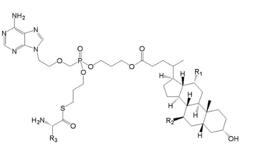 Compound Vb Structure